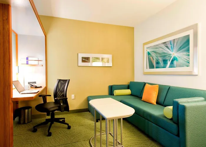 Jacuzzi hotel: Springhill Suites By Marriott Bellingham